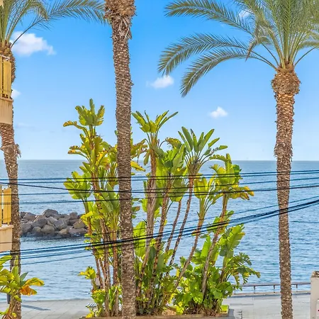 Moriones Playa Daire Torrevieja